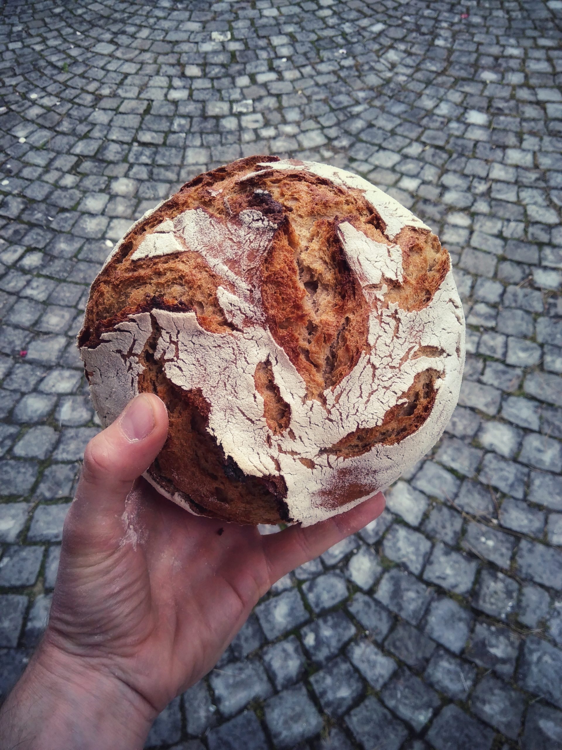 Pain de seigle et blé Pain de seigle et blé